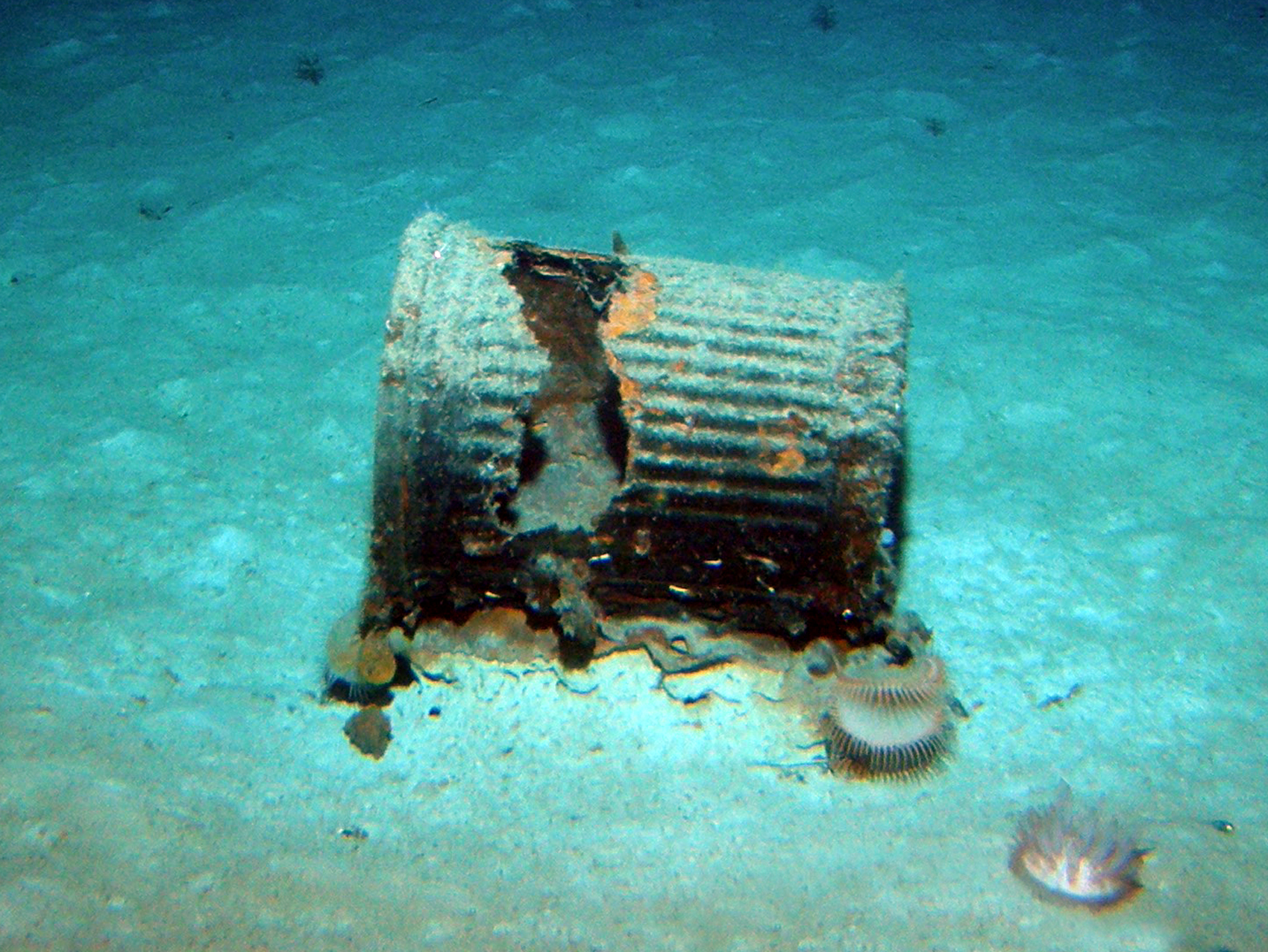 MISC-135: Trash Can