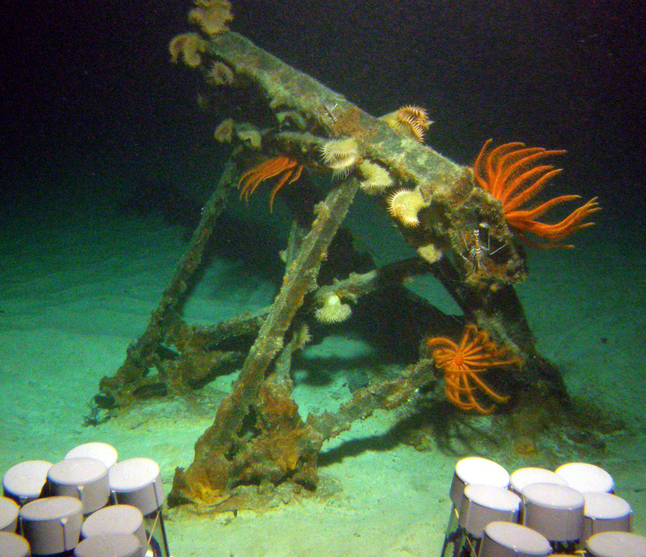 MISC-143: Winch Davit