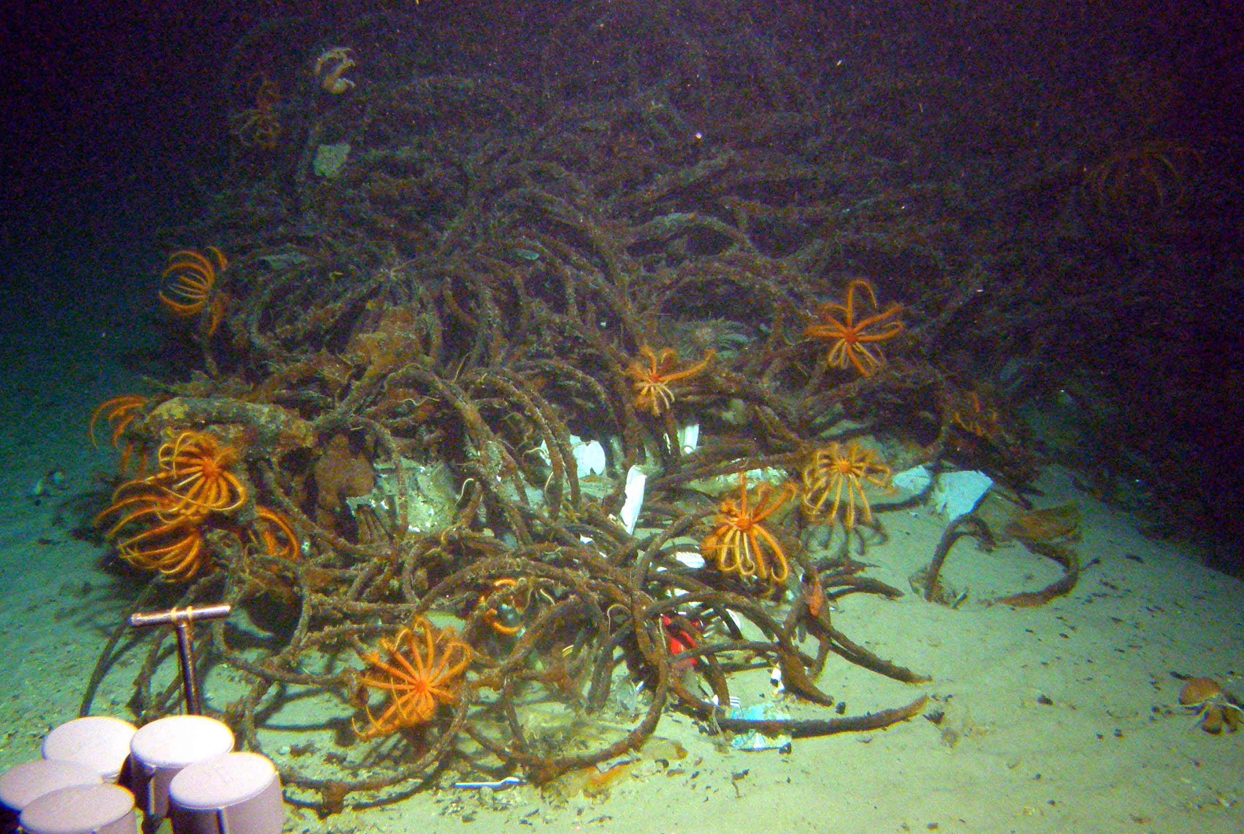 MISC-146: Wire Pile