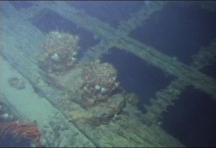 Survey: SS Helene port bow bitts