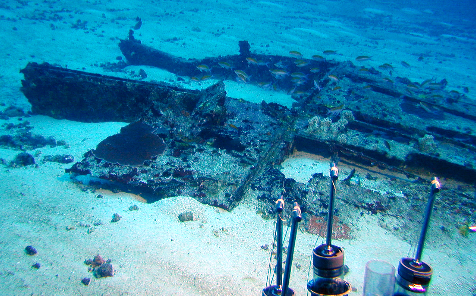 Survey: Ship debris