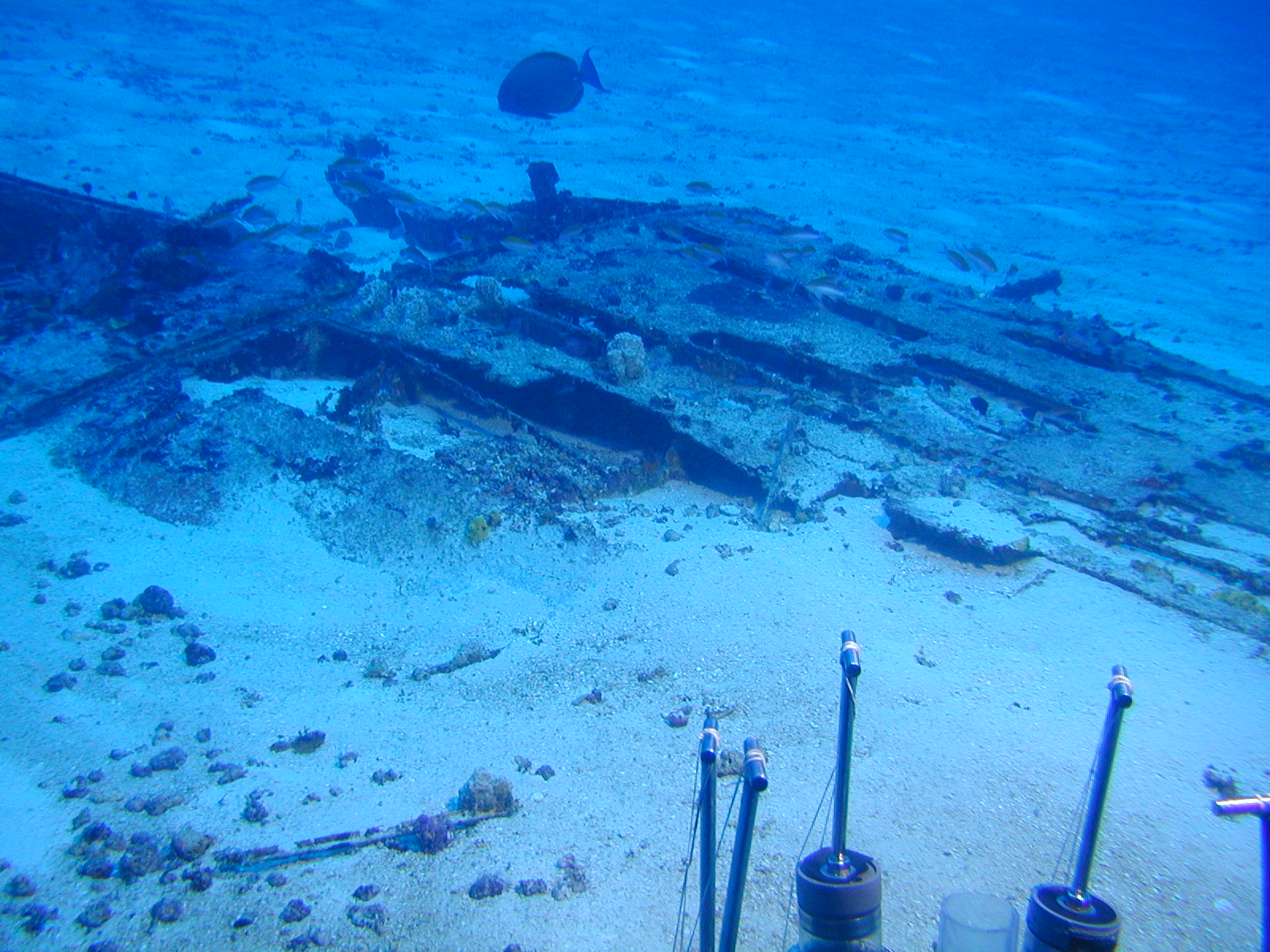 Survey: Ship debris