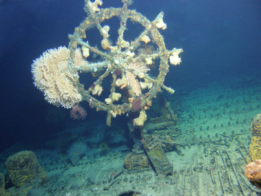 Survey: USS Kailua