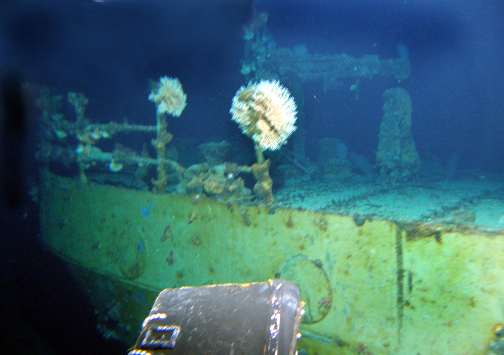 Survey: USS Kailua