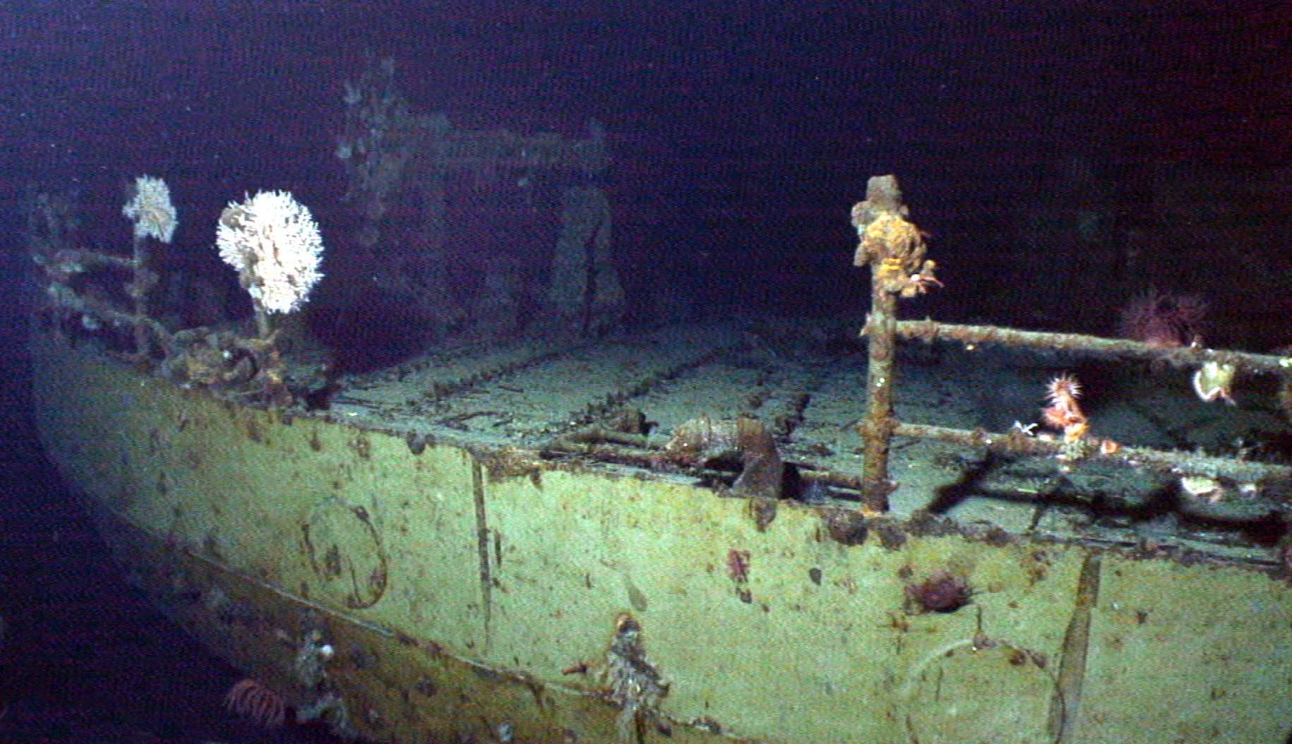 Survey: USS Kailua