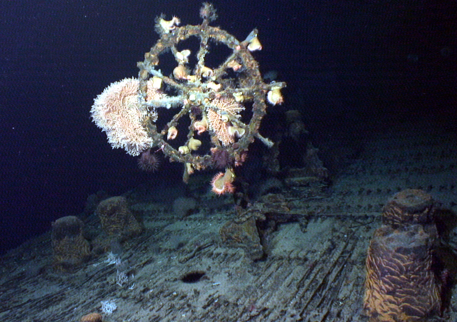 Survey: USS Kailua