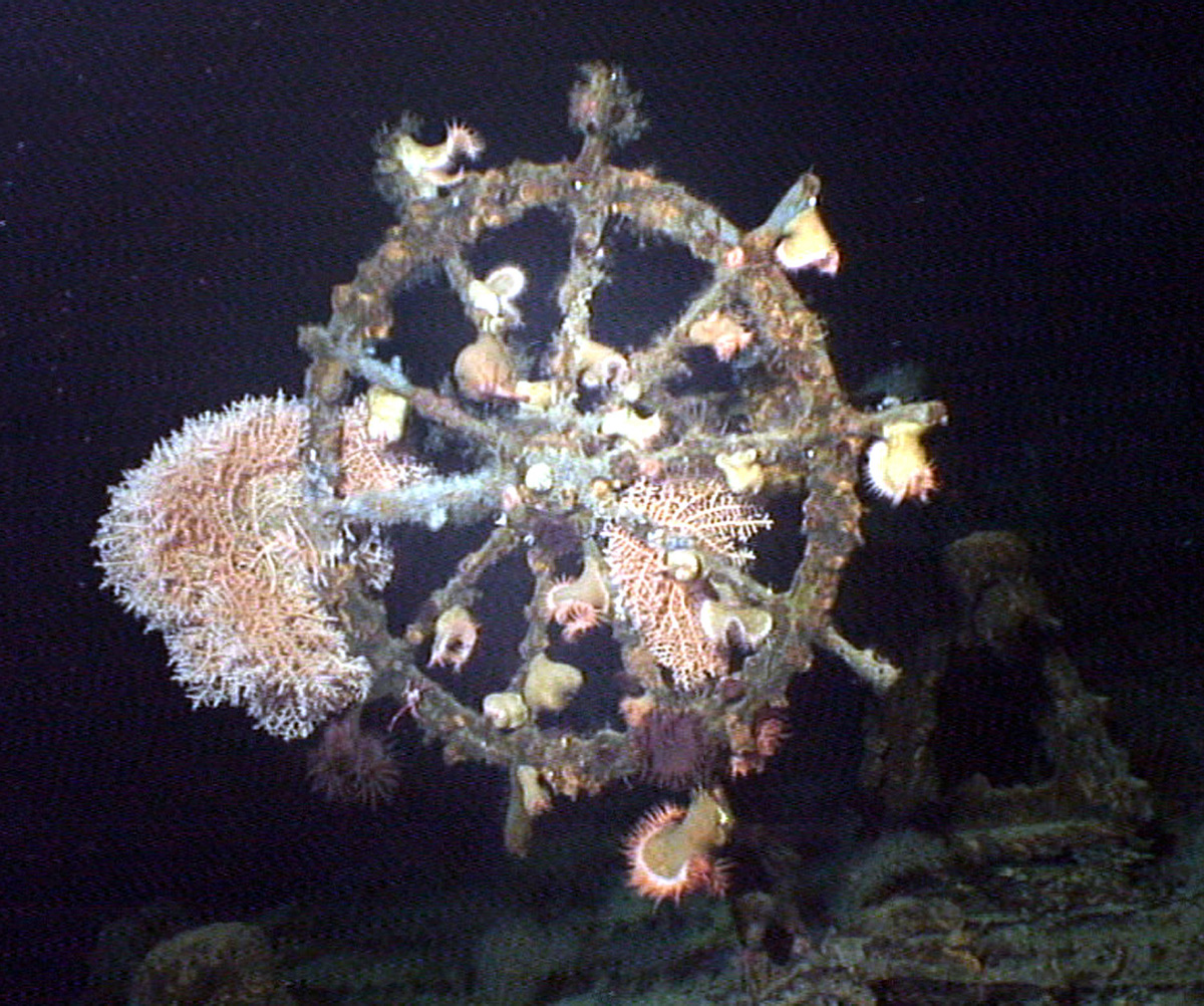 Survey: USS Kailua