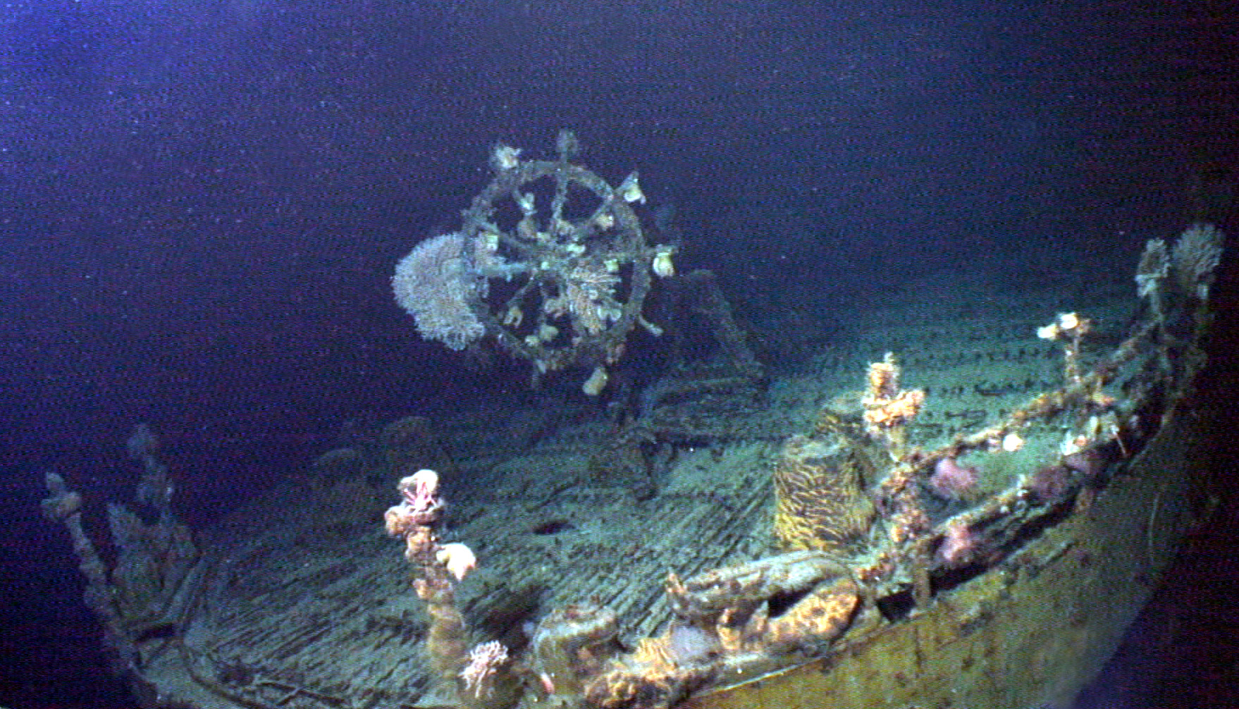Survey: USS Kailua