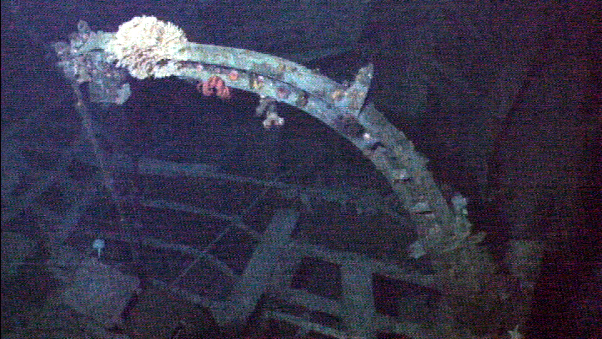 Survey: USS Kailua