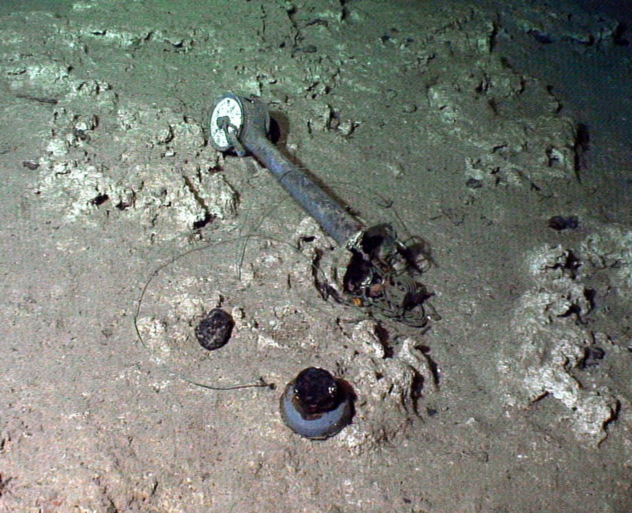 Survey: USS Kailua