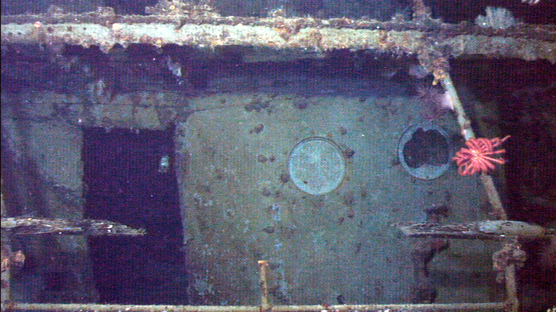 Survey: USS Kailua