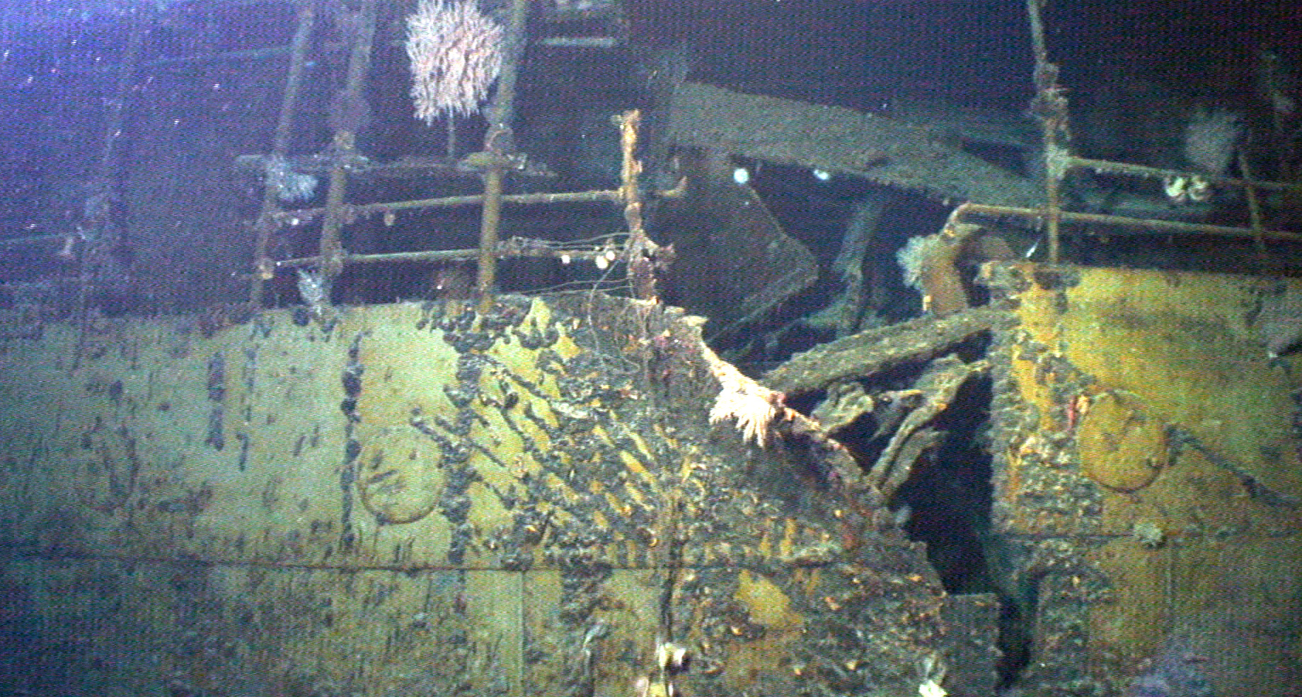 Survey: USS Kailua