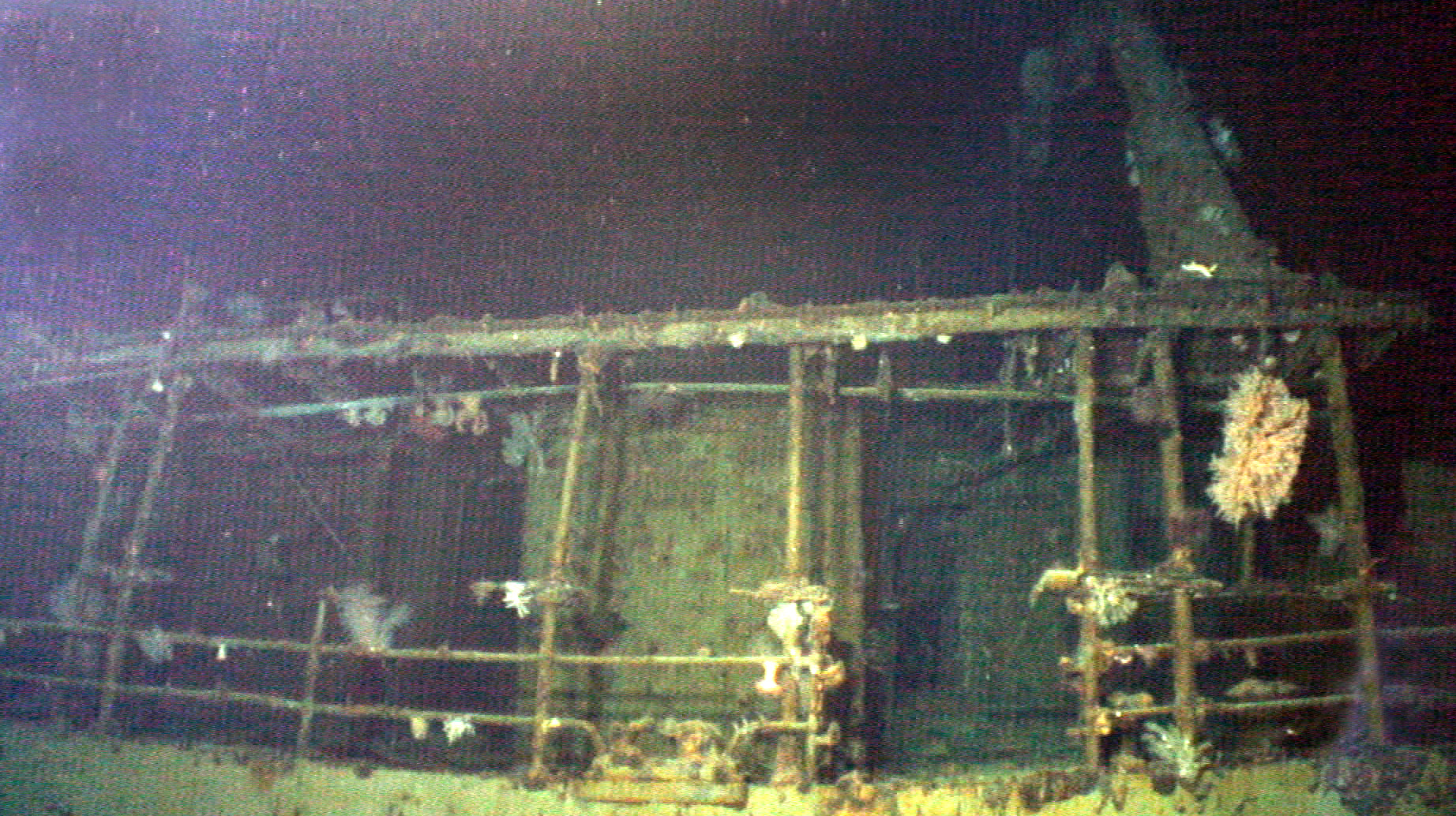 Survey: USS Kailua
