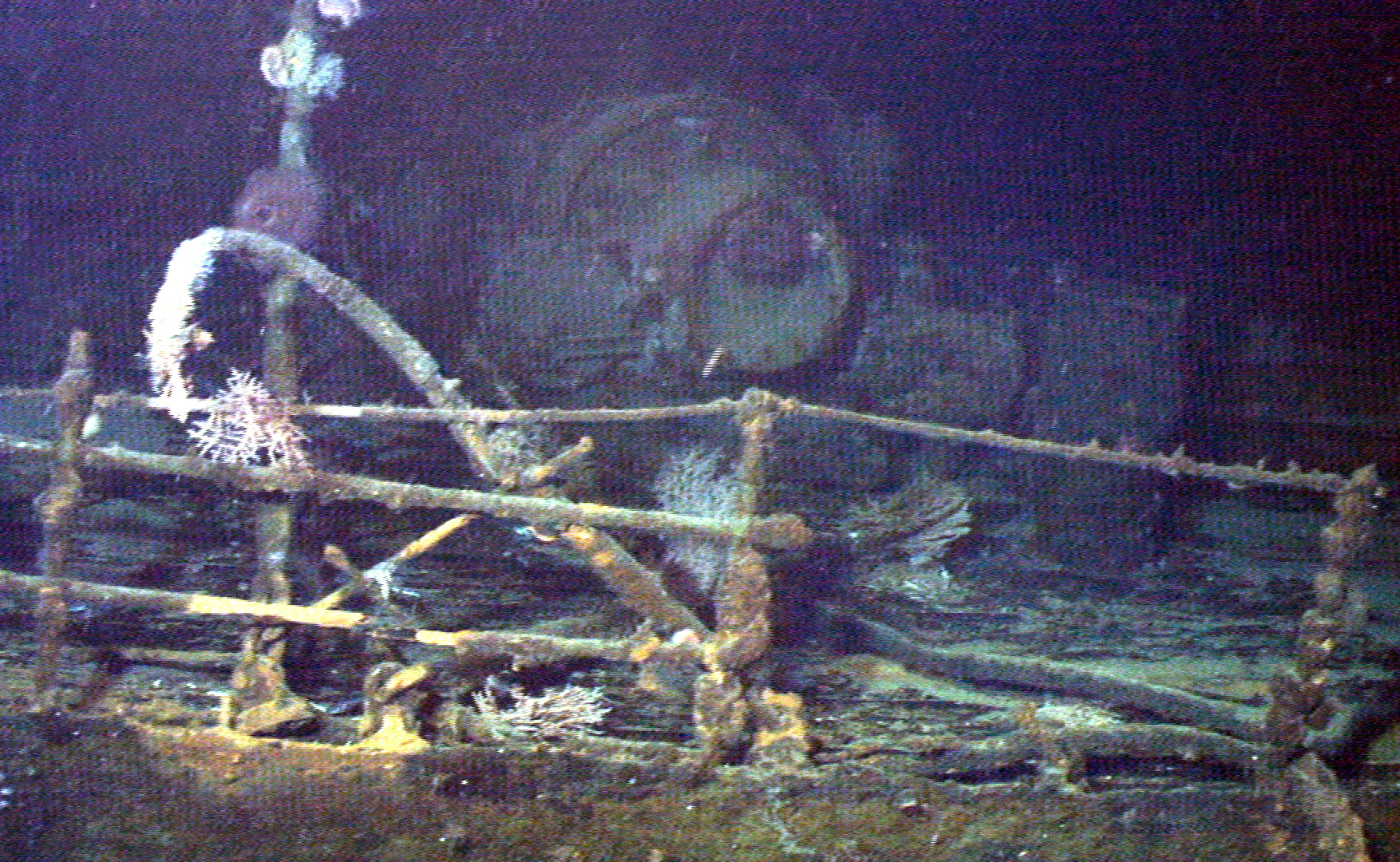 Survey: USS Kailua