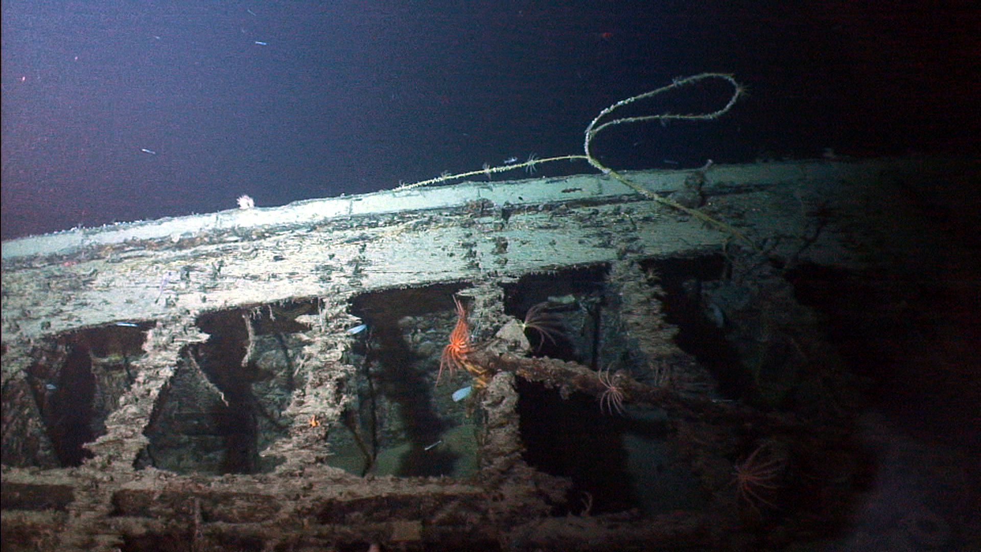 Survey: USS Baltimore