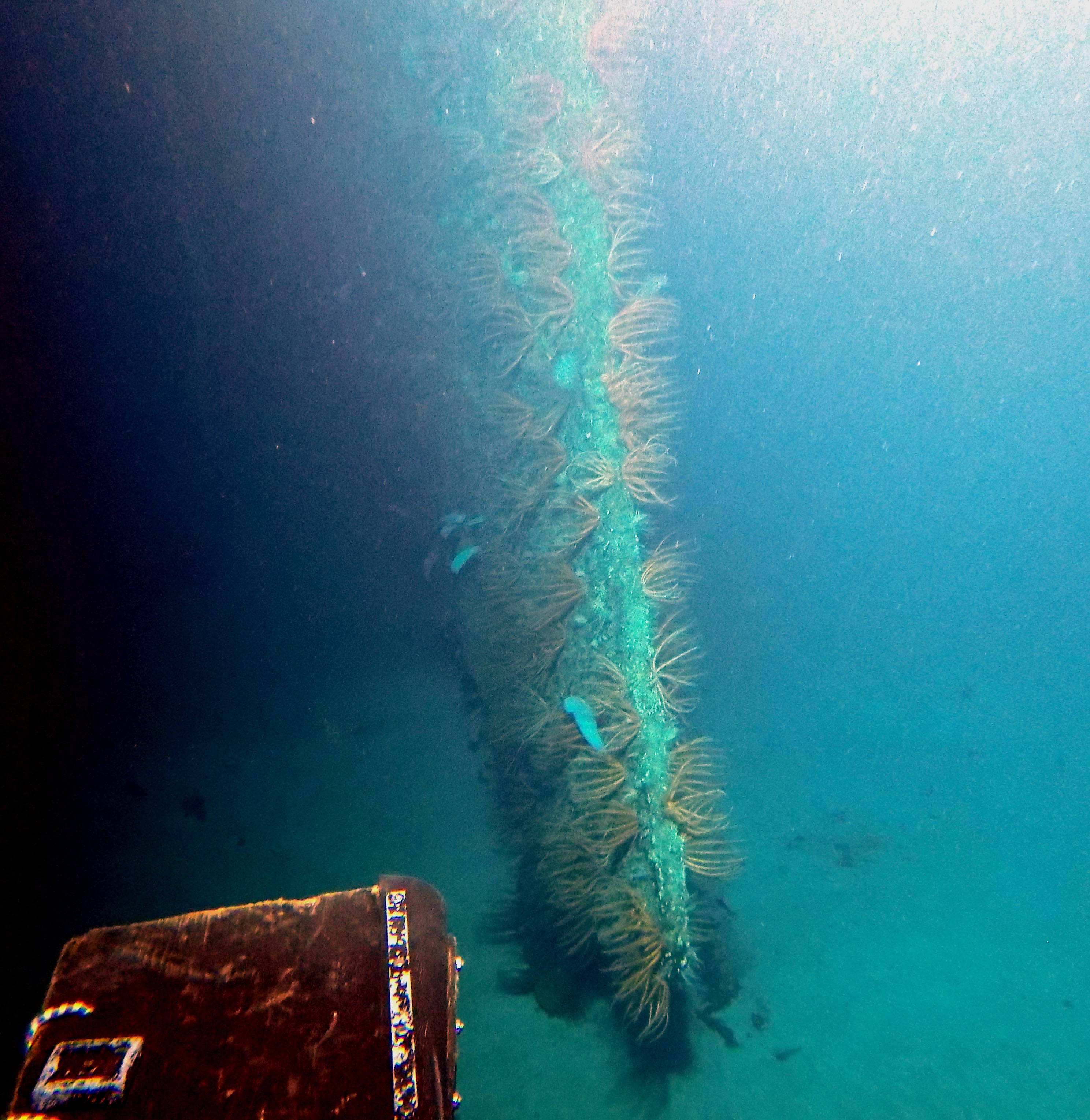 Survey: USS Baltimore