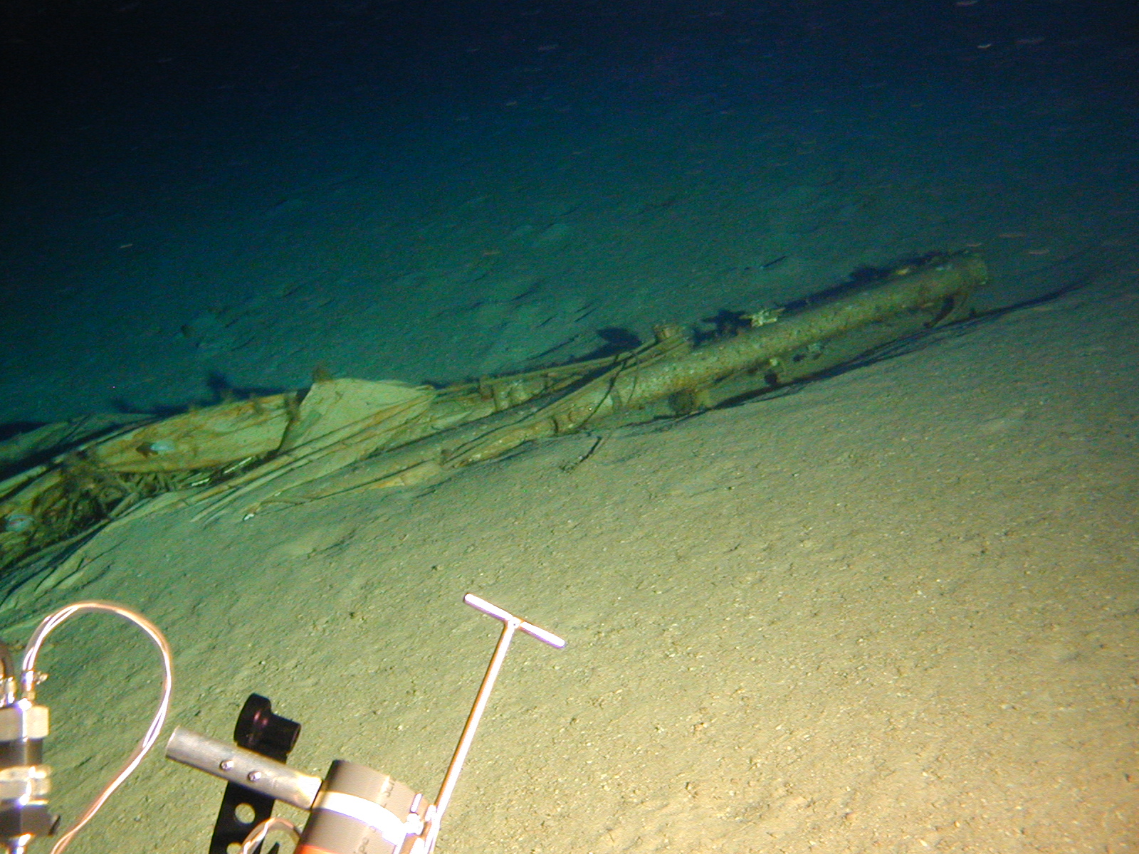 Survey: Mast and sail