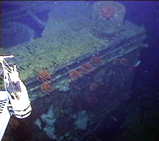 Survey: SS Mauna Kea ship