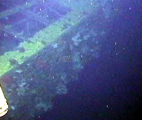 Survey: SS Mauna Kea ship