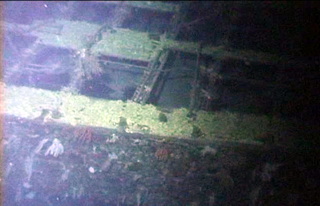 Survey: SS Mauna Kea ship