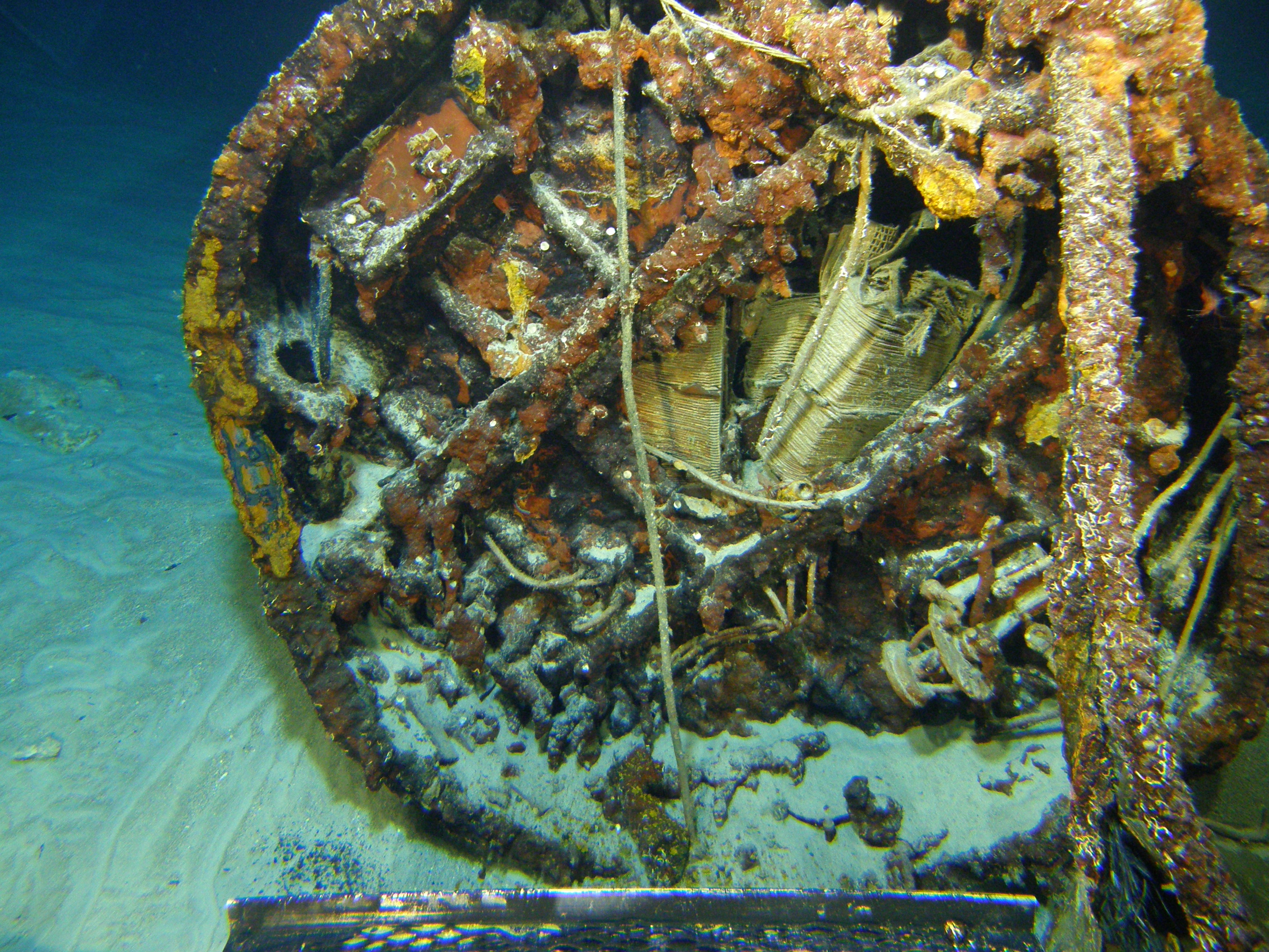 Survey: Midget sub
