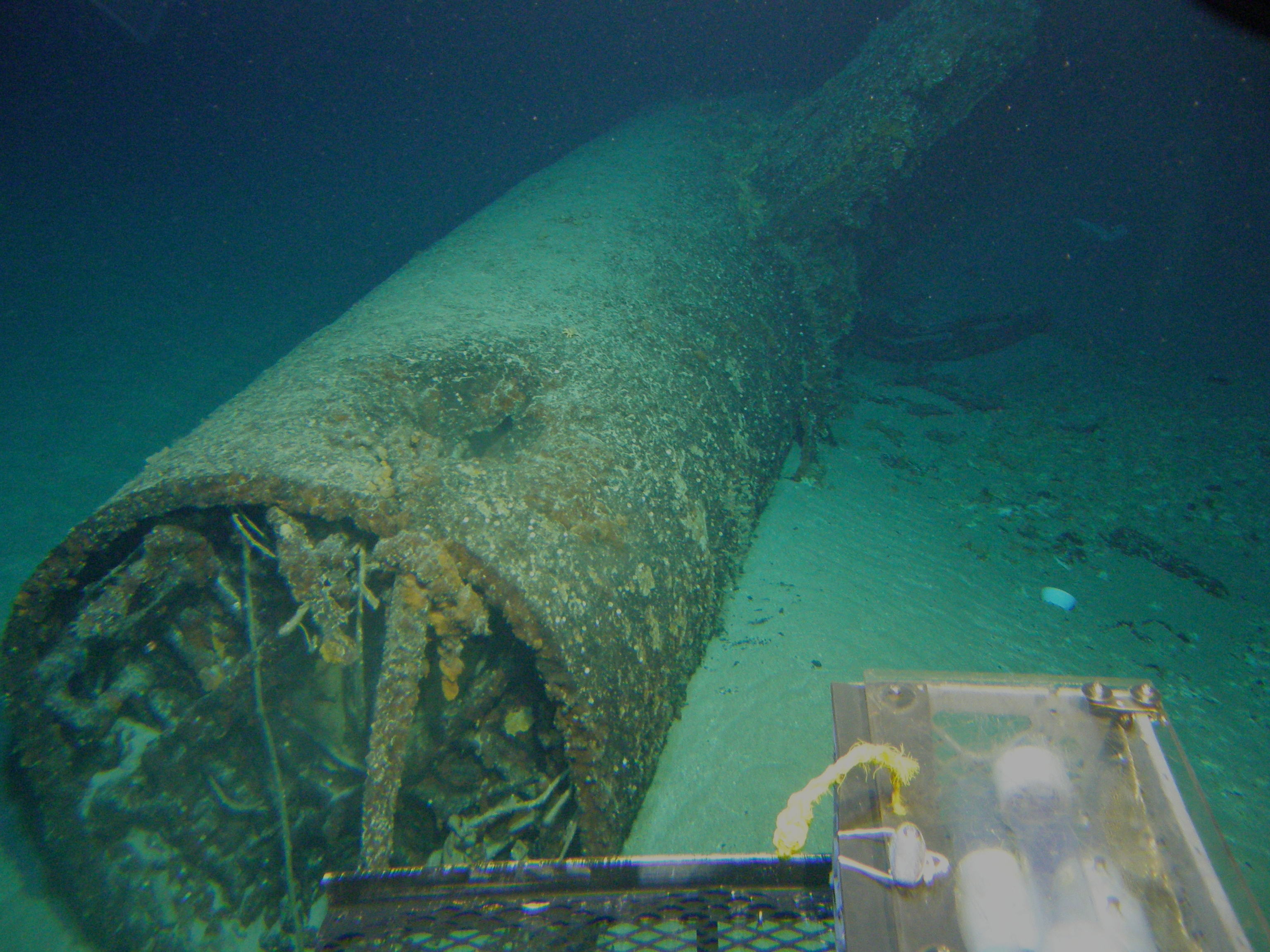 Survey: Midget sub