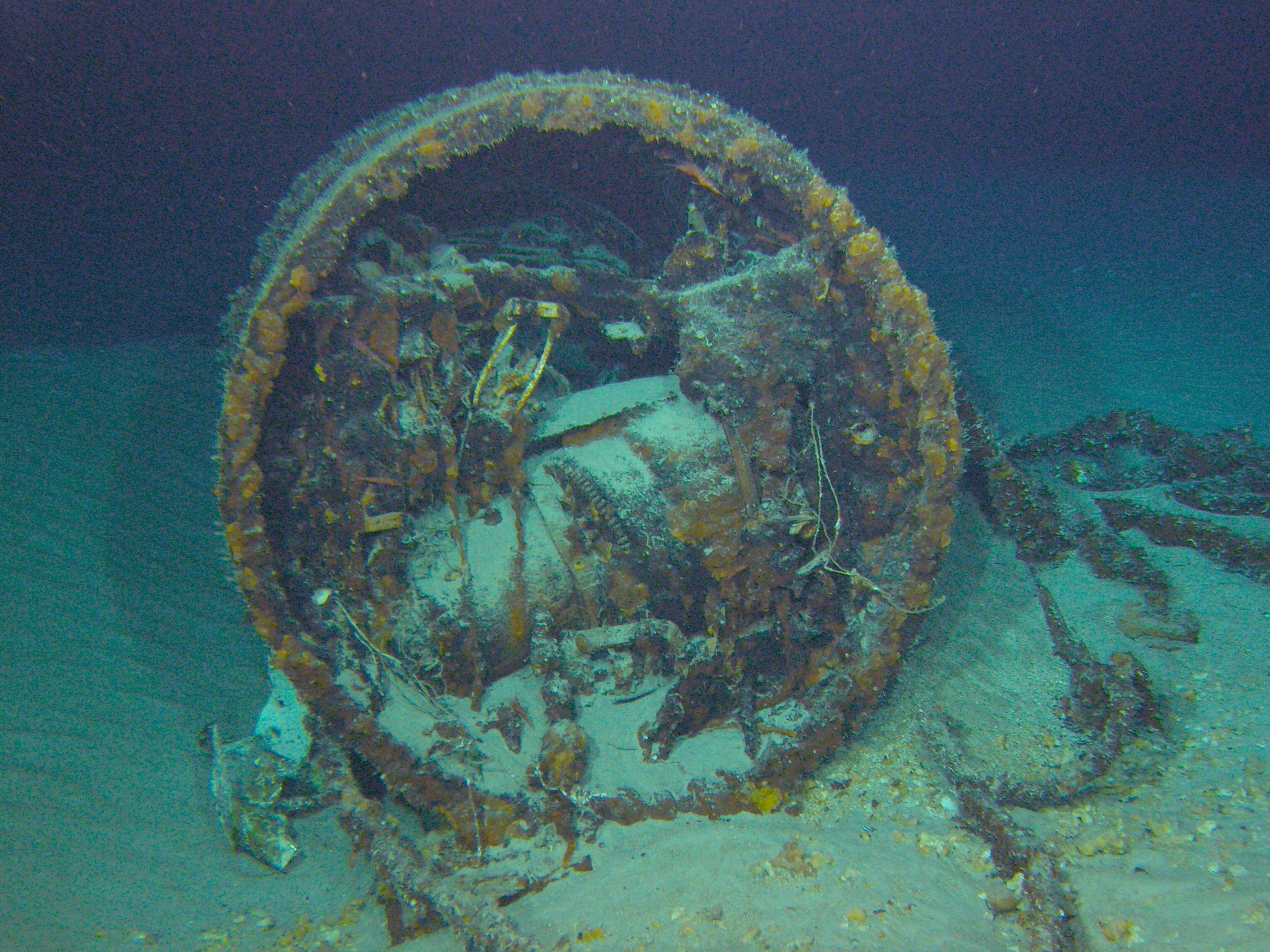 Survey: Midget sub stern