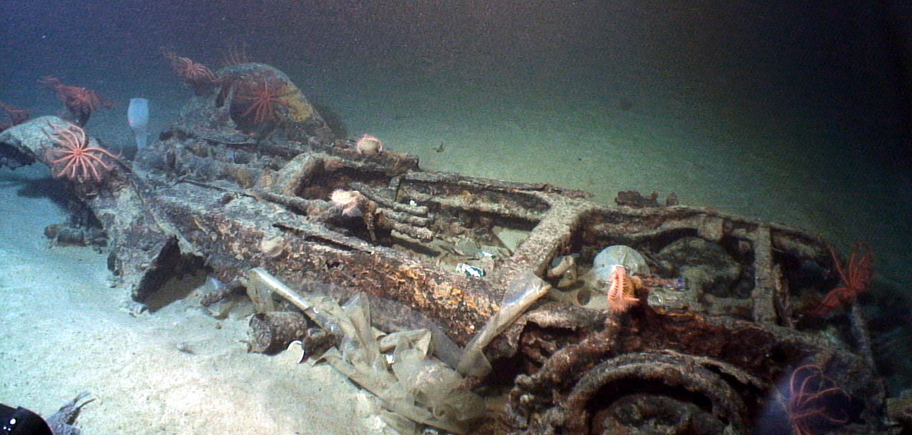 Survey: Car chassis