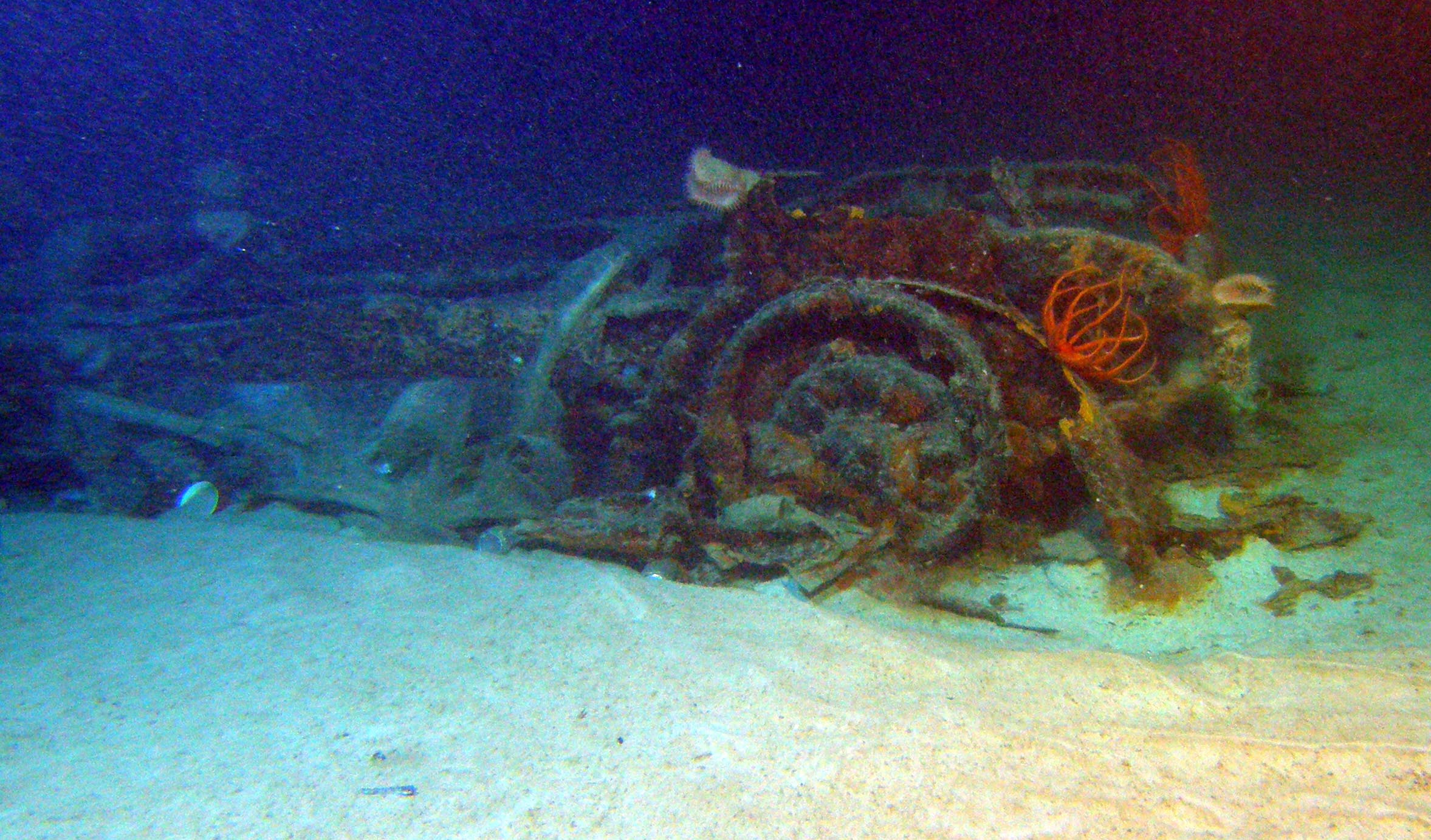 Survey: Car chassis