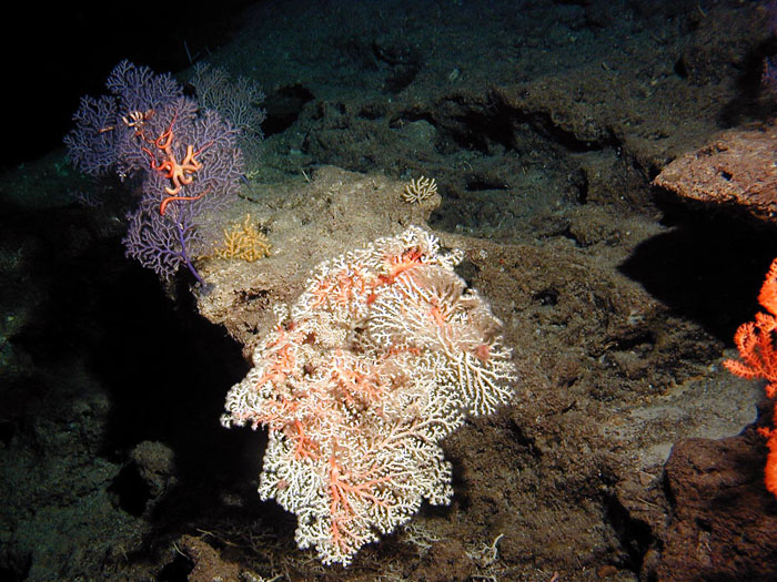 Pa010334