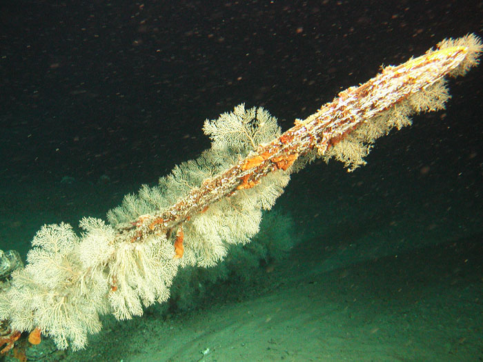 Propeller Close-up