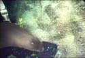PDVD_040