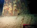 Shell Hole