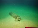 Torpedo