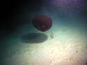 P4-148-001