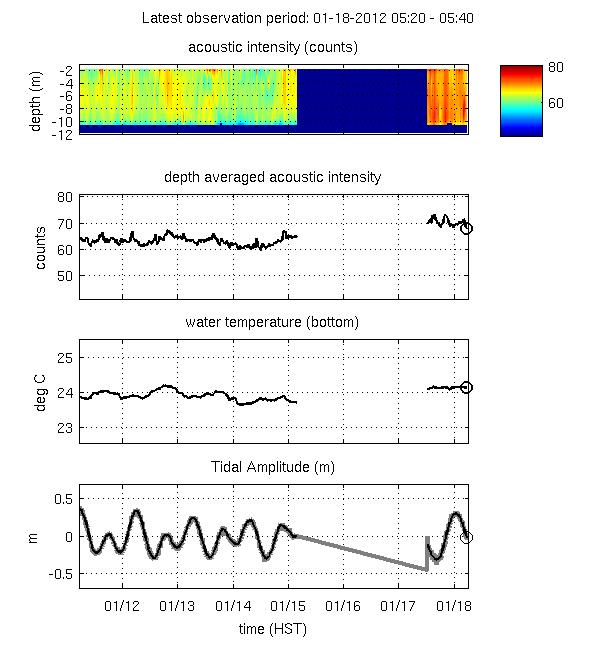 Water Quality: Weekly Summary