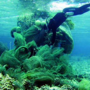 Diver next to pile of ocean trash