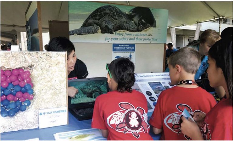 Two people looking at a turtle in a crate
