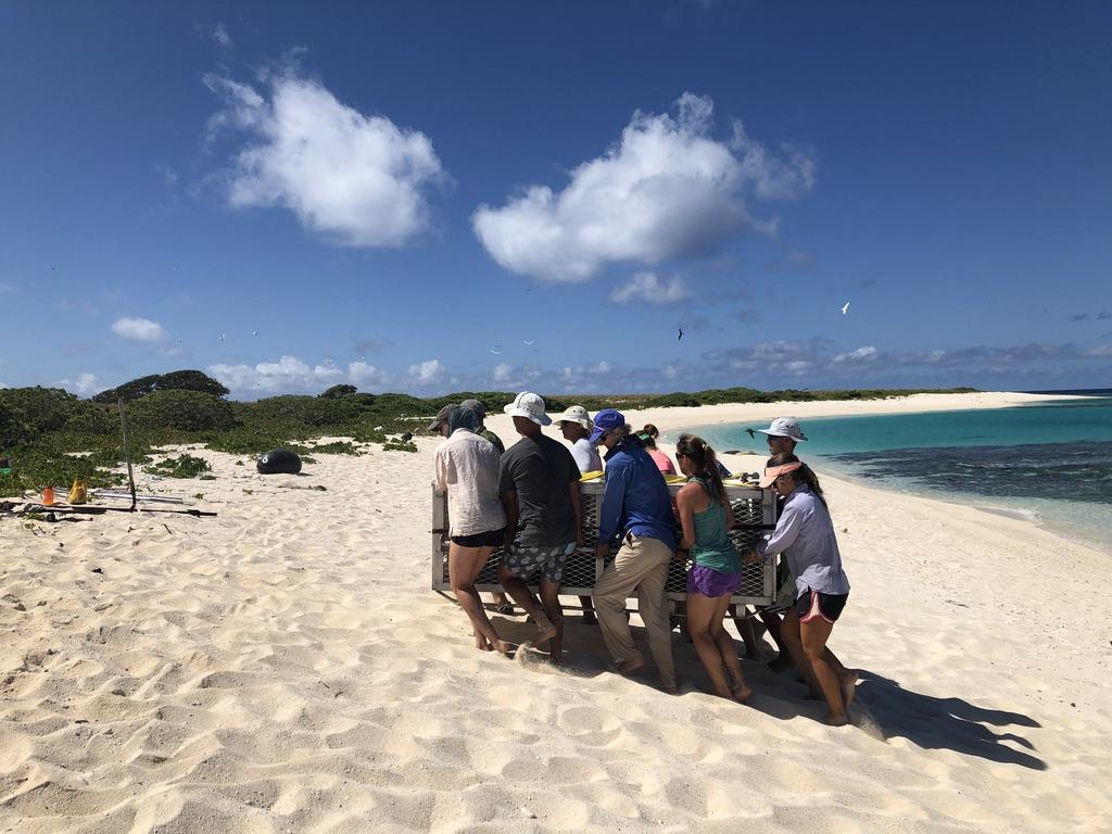 A group of workers carrying a large metal container up the beach