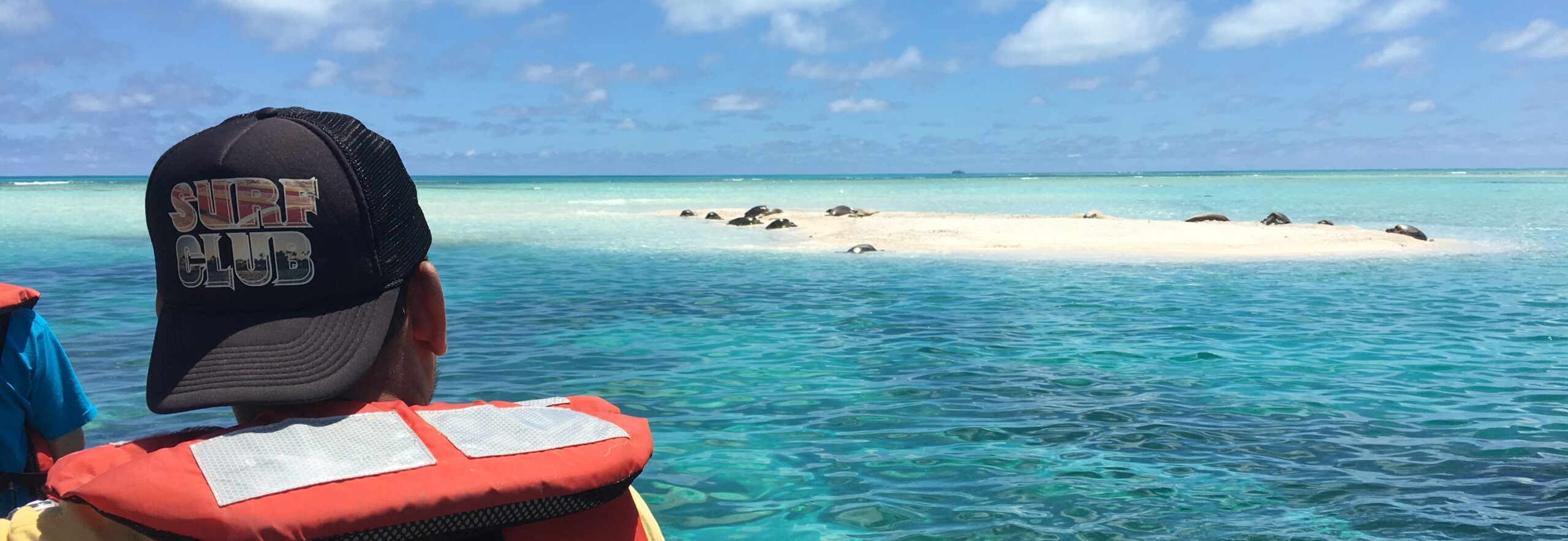 Worker in orange vest looking a short distance across the water at an atoll with several seals