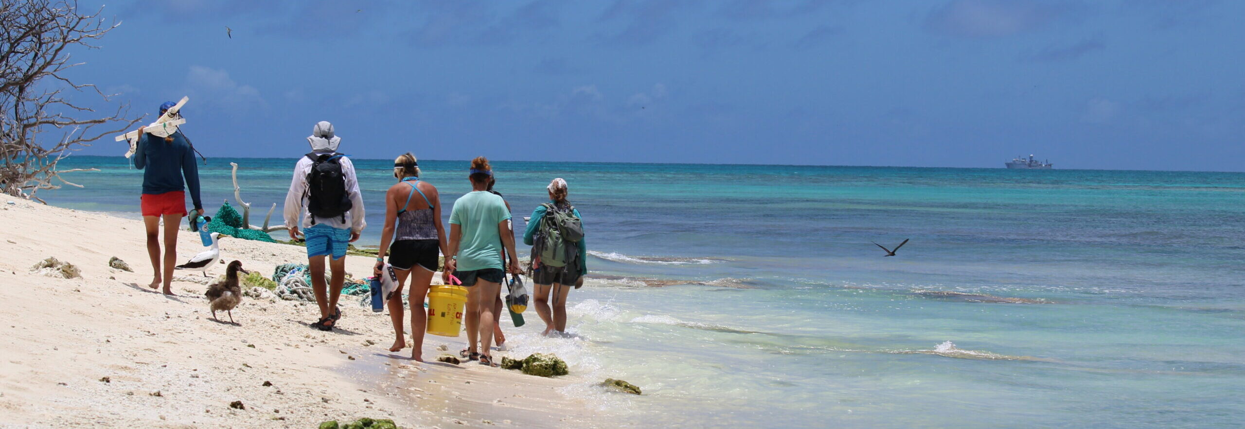 Group of five workers walking along the beach, a few birds nearby, and a ship in the distance