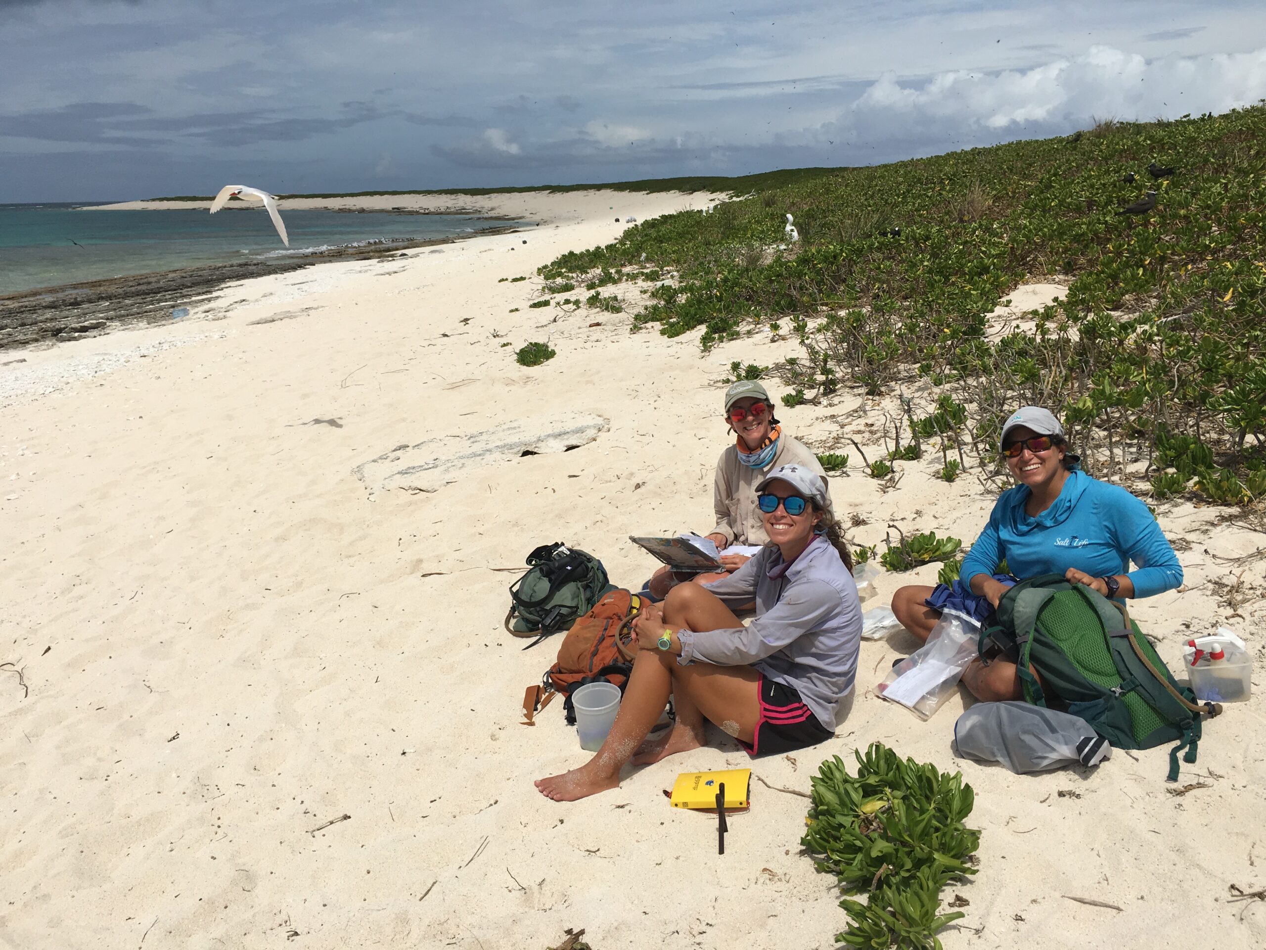 Three workers sitting on a beach, smiling; behind them is a long stretch of beach with short shrubbery and a couple of white birds.
