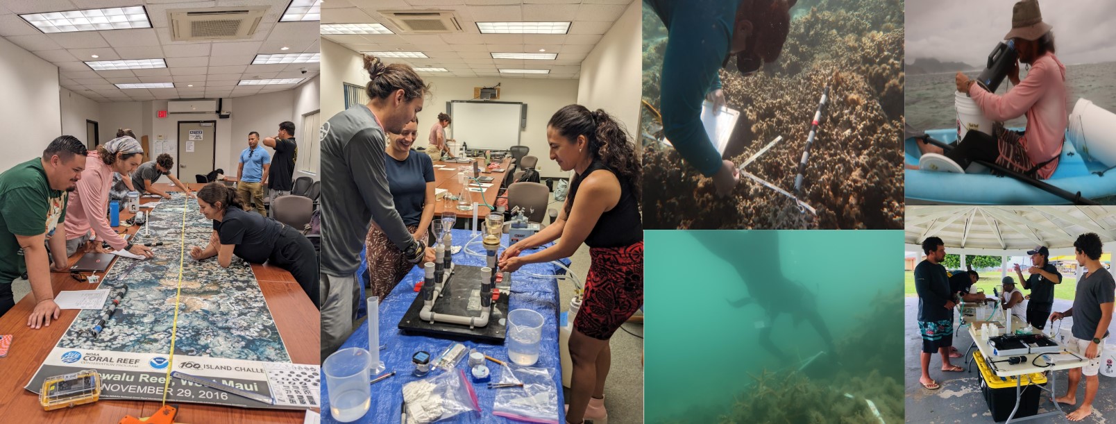 Collage: 1) Several people standing around a large poster of a reef on a table, 2) a trio of women standing around chemistry equipment, 3) a diver with measurement tools above a reef, 4) a person on a small boat interacting with a bucket, 5) a picture of a diver in murky water near a reef, 6) several people talking next to a food stand under a pavillion outside.