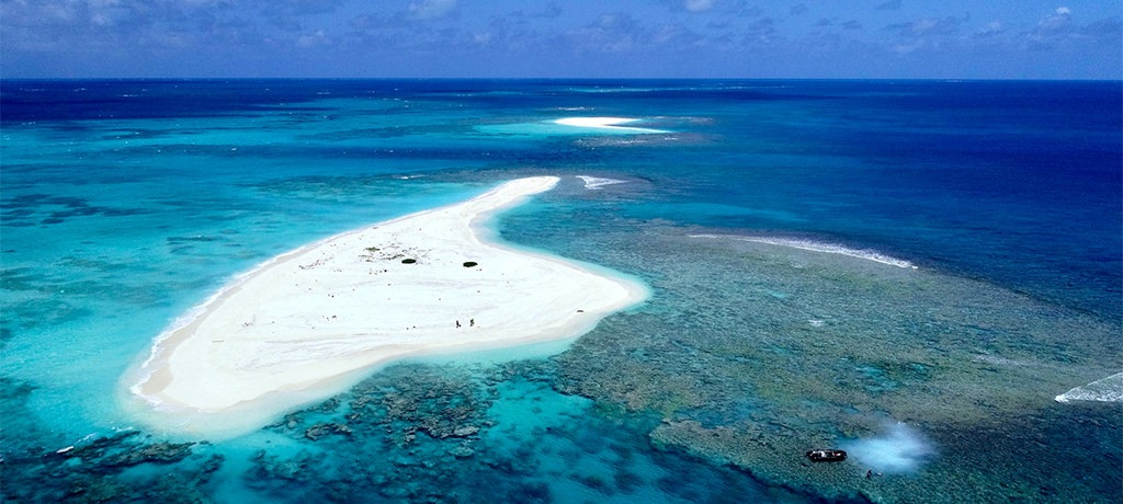 Beach and coral reef in the northwest Hawaiian Islands