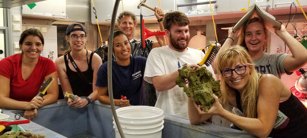 Working with deglacial coral samples in a R/V Falkor's lab at sea