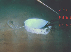 The completed seismic hole with the seismometer installed.