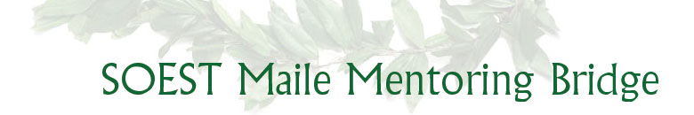 SOEST Maile Mentoring Bridge banner