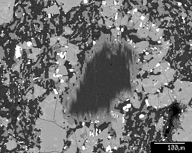BSE image on partly resorbed mantle peridotite derived opx