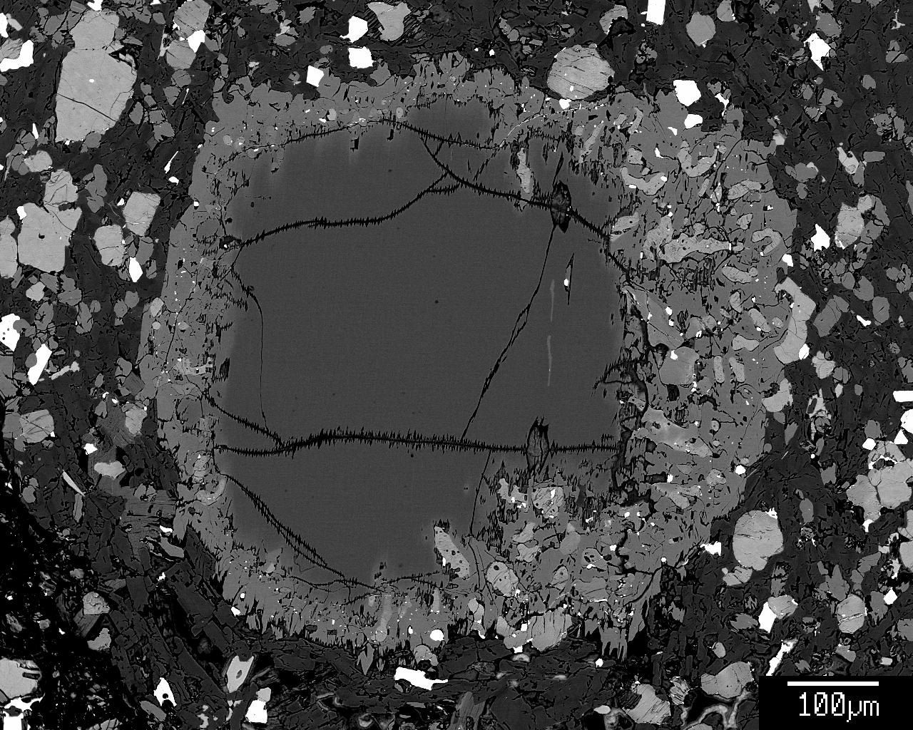 BSE image of partly resorbed and overgrown mantle opx