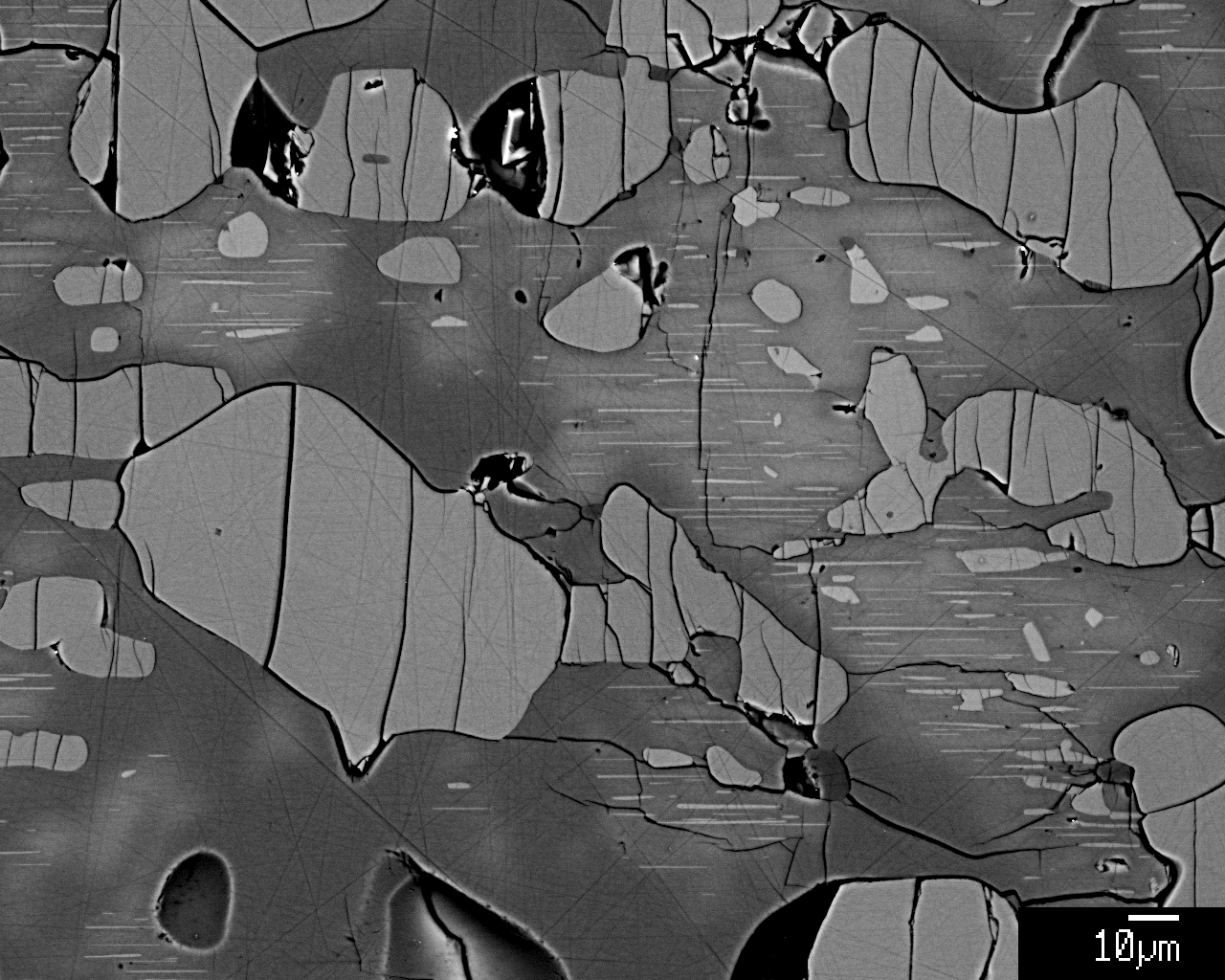 BSE image of high-pressure experiment showing wadsleyite olivine intergrowths